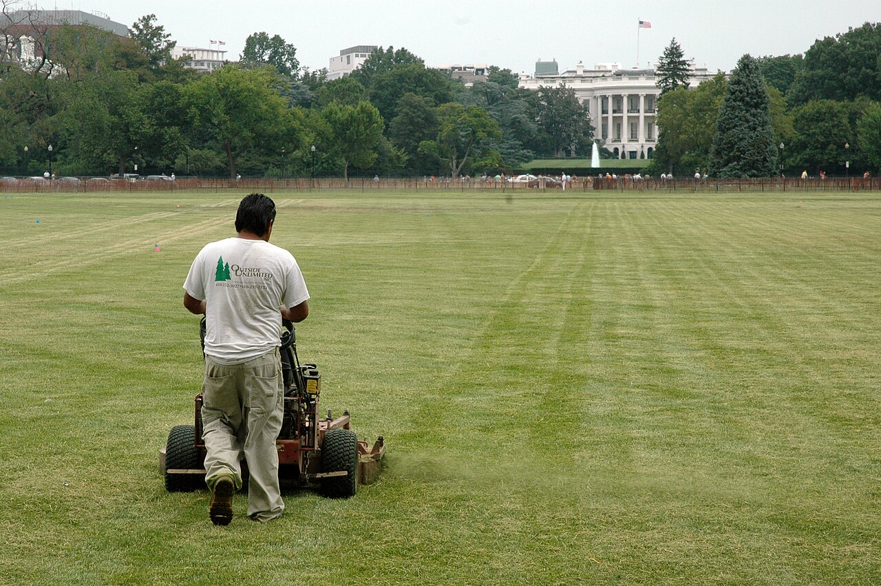 Lawn care on a commercial property